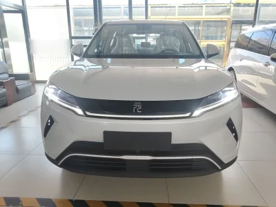 BYD Yuan UP 2025 Model 301KM Leading Version — detail 1