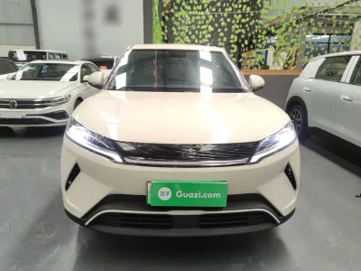BYD Yuan UP 2025 Model 301KM Leading Version — detail 1