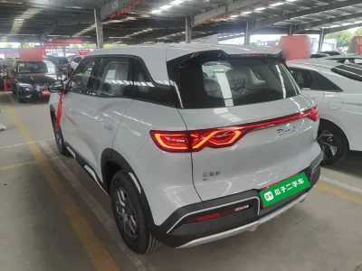 BYD Yuan UP 2025 Model 301KM Leading Version — detail 2