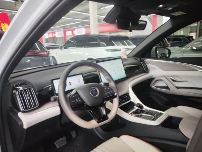 BYD Song Pro New Energy 2023 Champion Edition DM-i 110KM Beyond Model — detail 3