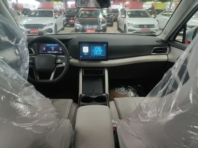 BYD Yuan UP 2025 Model 301KM Leading Version — detail 4