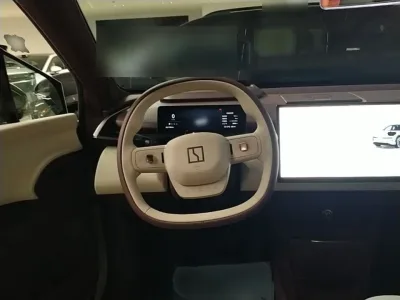 Zeekr X 2025 Four-Seater Rear-Drive Cube Version — detail 5