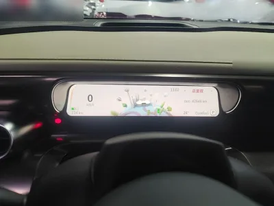 smart #1 2022 Premium Edition — detail 6