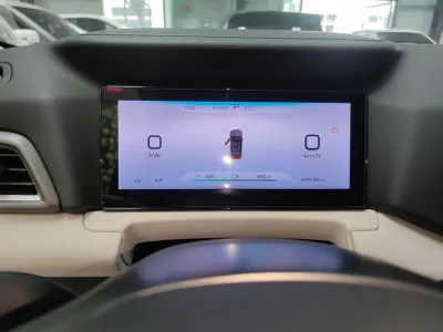 BYD Yuan UP 2025 Model 301KM Leading Version — detail 6