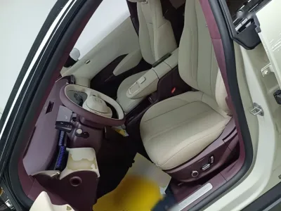 Zeekr X 2023 Rear-Drive YOU Edition 4 Seats — detail 7