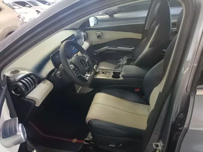 BYD Yuan PLUS 2022 510 km Flagship Version — detail 7