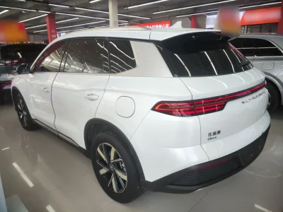 BYD Song Pro New Energy 2023 Champion Edition DM-i 110KM Beyond Model — detail 7