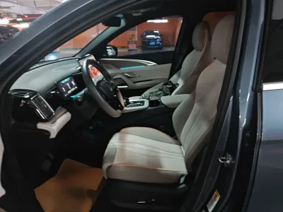 BYD Song Pro New Energy 2023 Champion Edition DM-i 110KM Excellence Model — detail 7