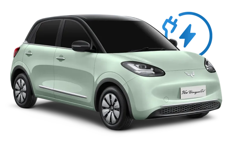 Wuling Binguo EV 官方图